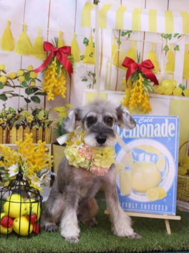 20240406ラーラちゃん 